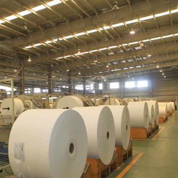 Papermaking